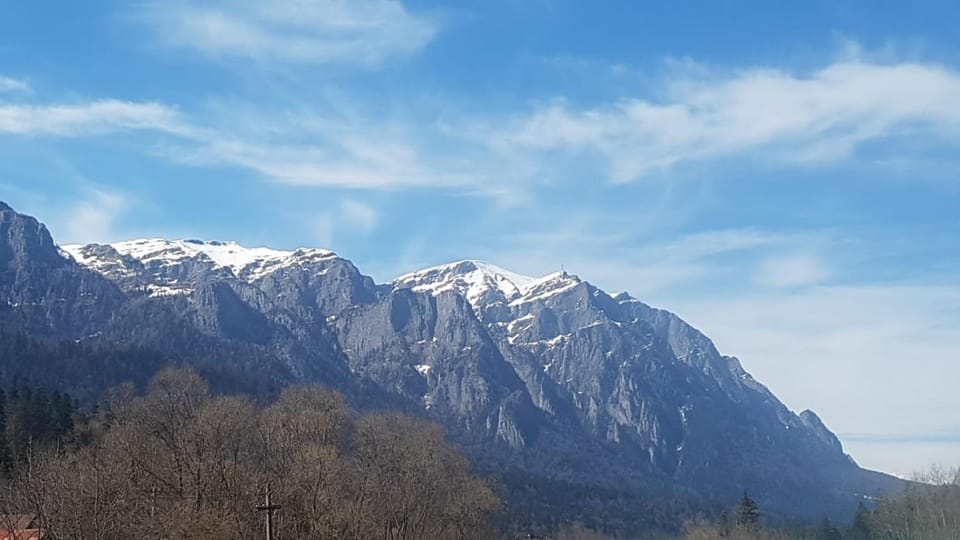 Apartament GreenStar Apartment in Sinaia