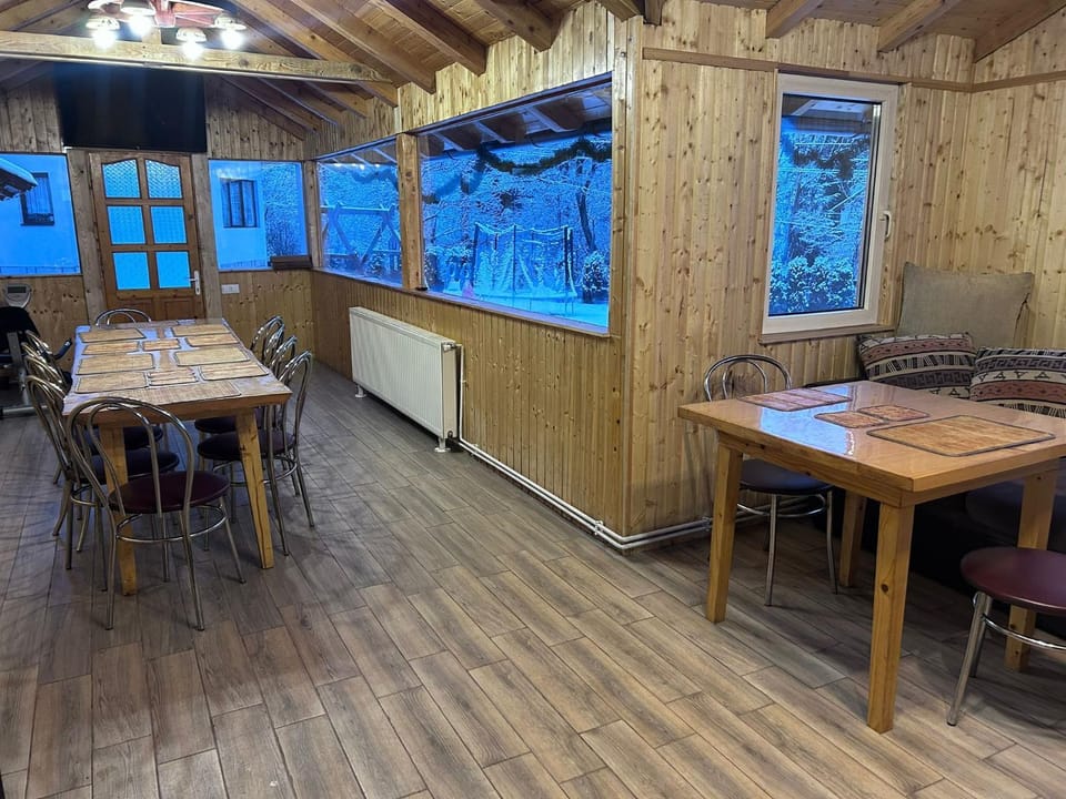 Casa Moșoiu Vacation rental in Bran