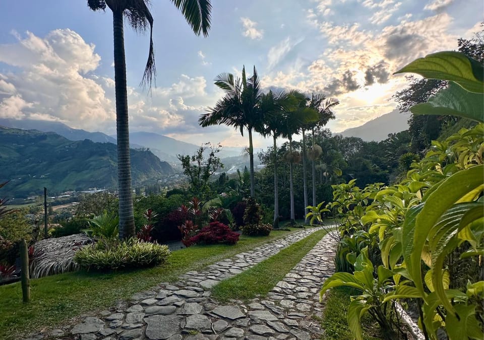 Garden view