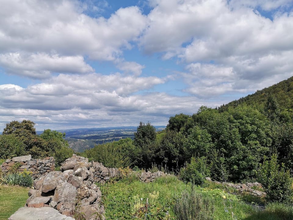 Charmante maison dans les gorges de la Loire avec terrasses et poêle à bois - FR-1-582-319 House in Auvergne-Rhône-Alpes