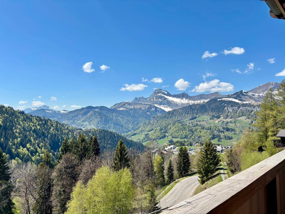 Appartement de charme, vue Mont Charvin, parking - FR-1-505-116 Apartment in Notre-Dame-de-Bellecombe