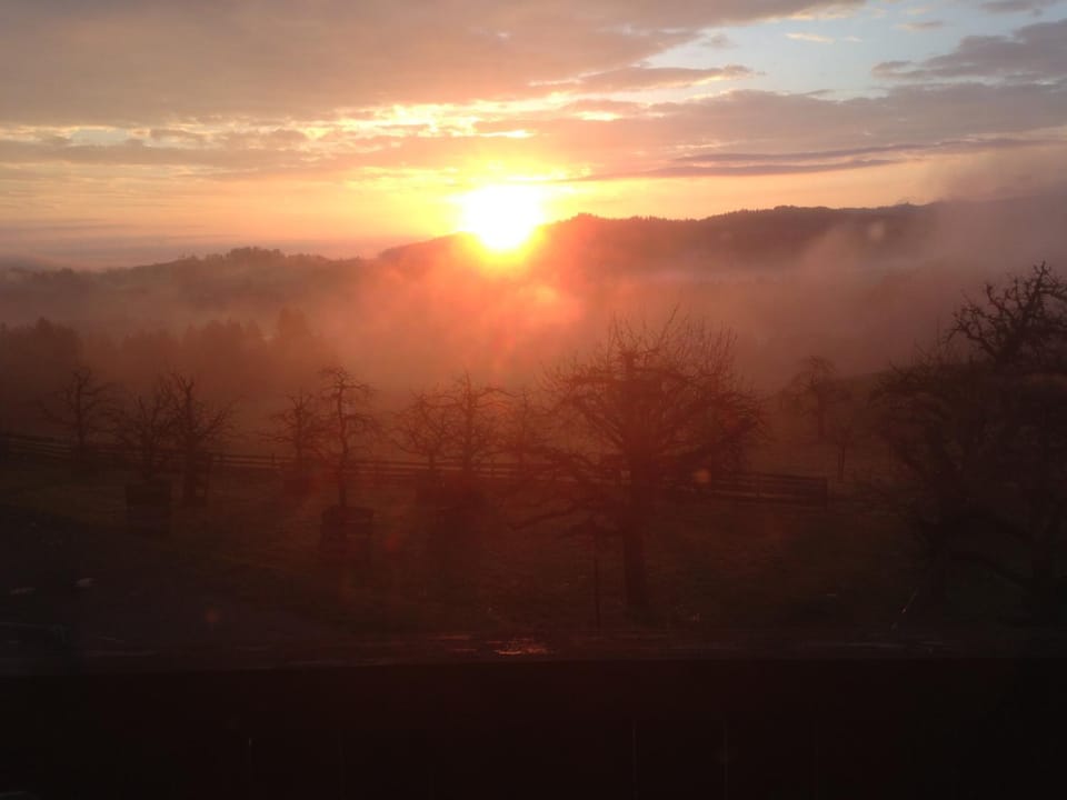 Spring, Natural landscape, View (from property/room), Autumn, On site, Sunrise