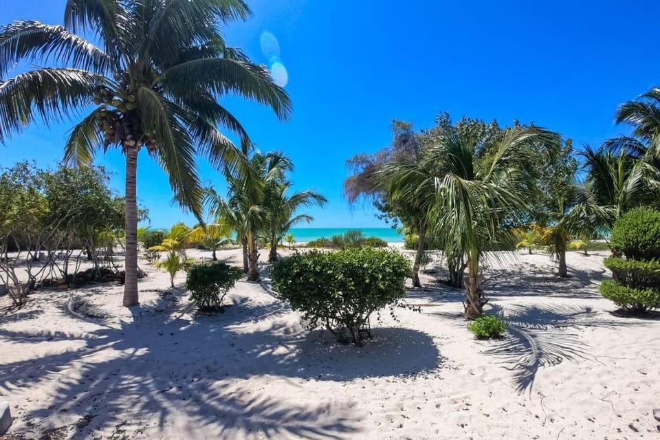 PRECIOSA VILLA FRENTE AL MAR Villa in State of Yucatan