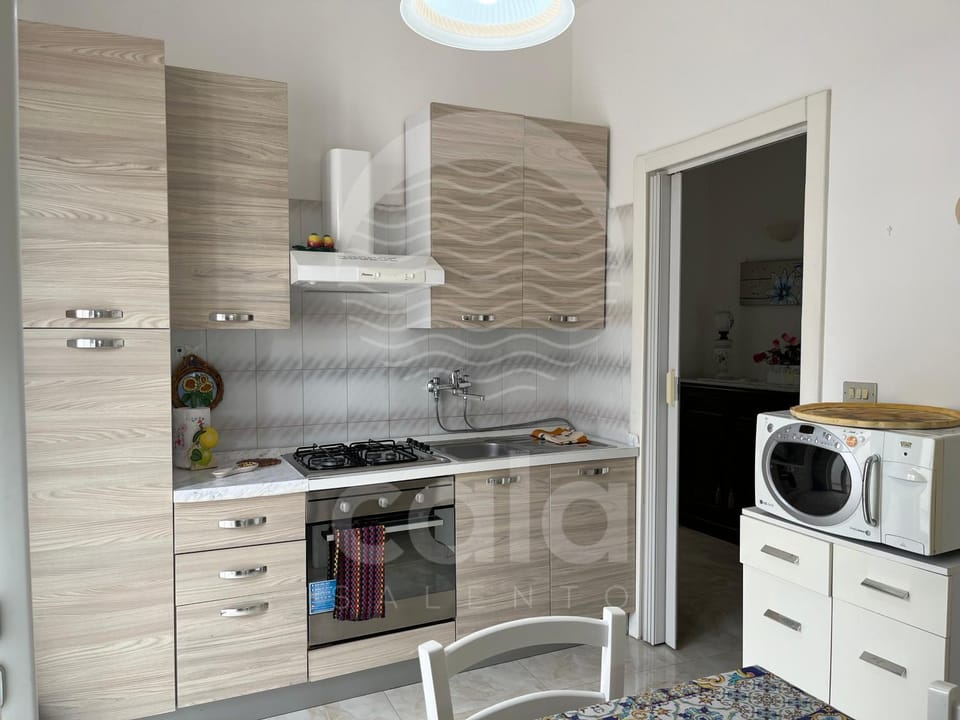 Kitchen or kitchenette, kitchen