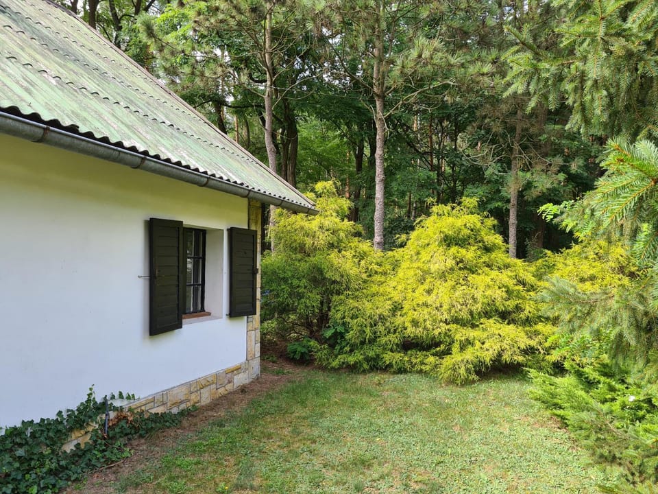 Domek w Lesie Bory Tucholskie House in Pomeranian Voivodeship