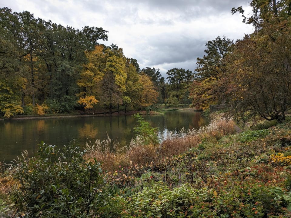Natural landscape