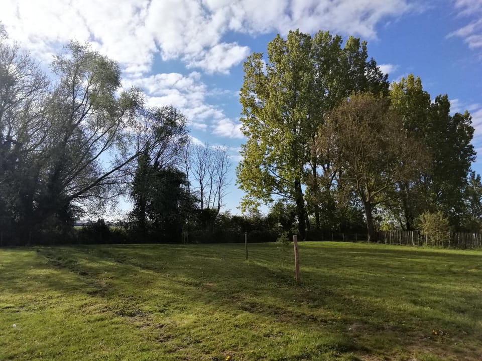 Natural landscape, Garden, Parking