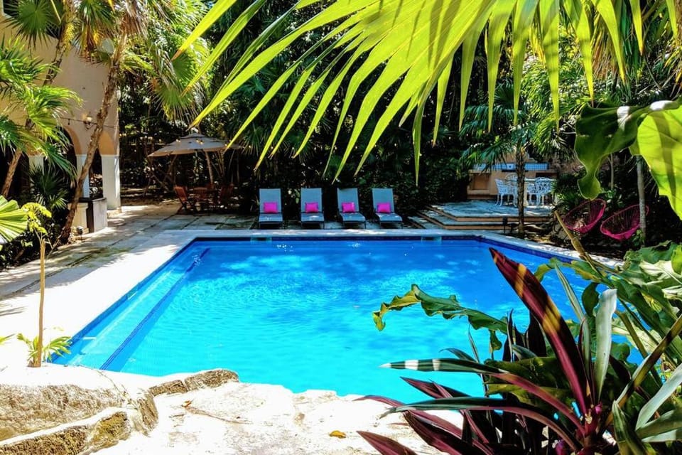 Swimming pool, Swimming pool