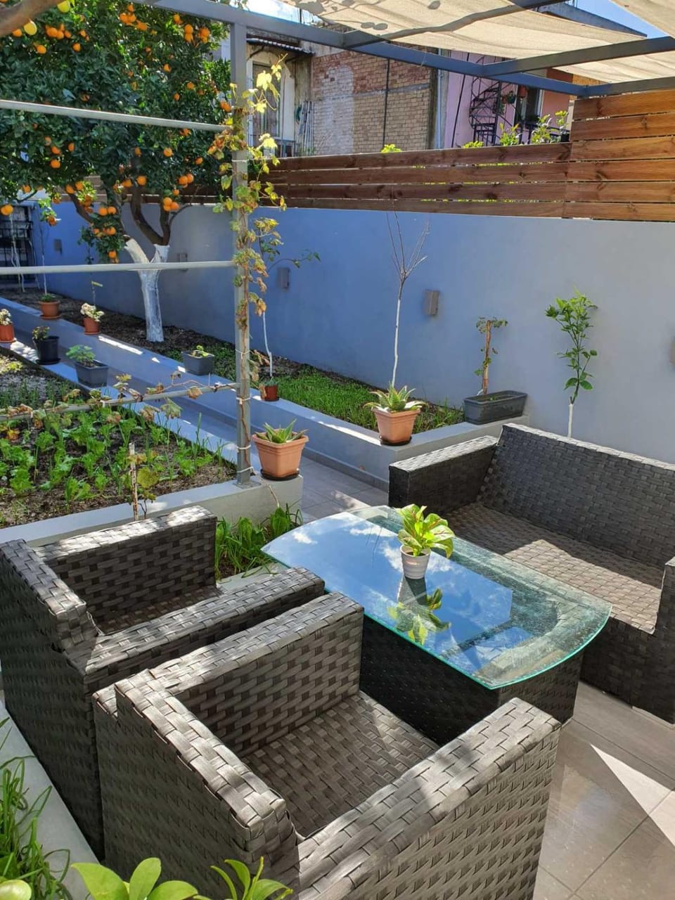 Patio, Day, Garden, Seating area, Garden view