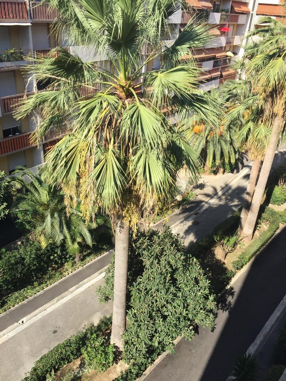 Studio à 2 pas de la promenade des anglais Apartment in Nice