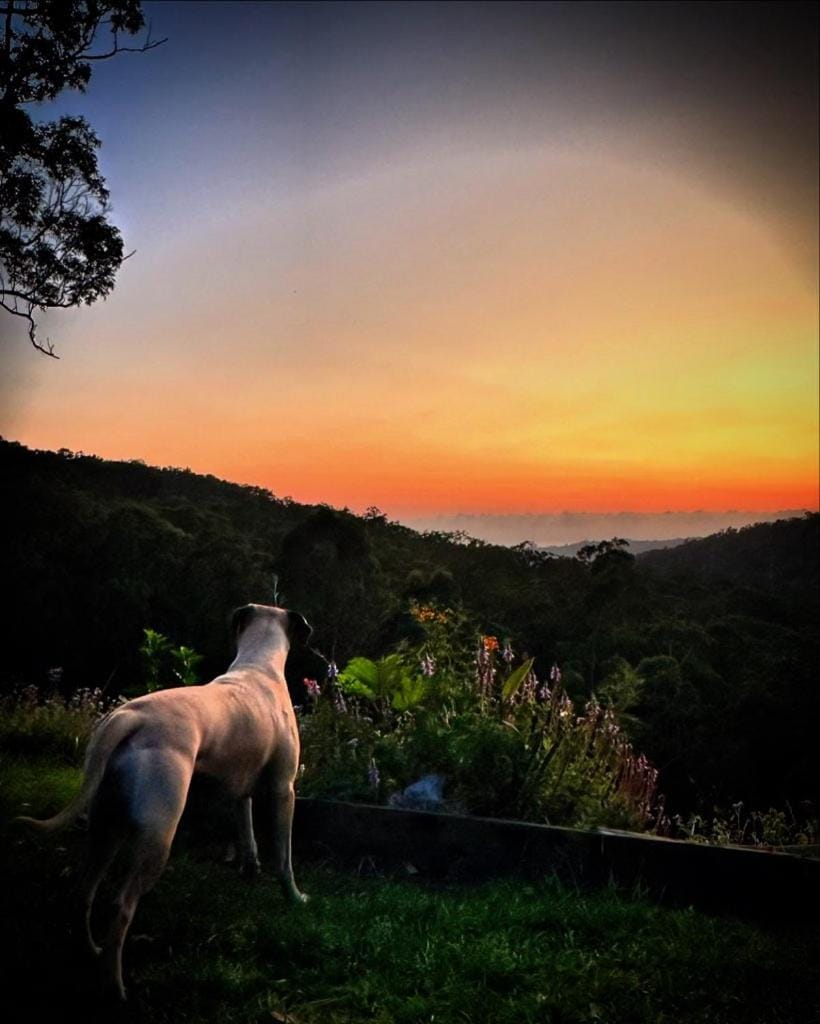 The House of the Rising Sun & Hot Spa House in Tallebudgera Valley