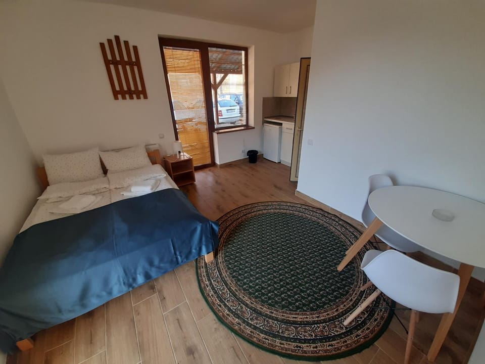 Studio Gmitrovic Apartment in Serbia