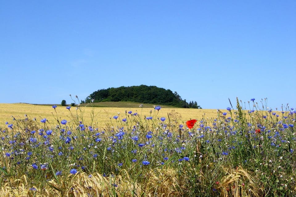 Natural landscape