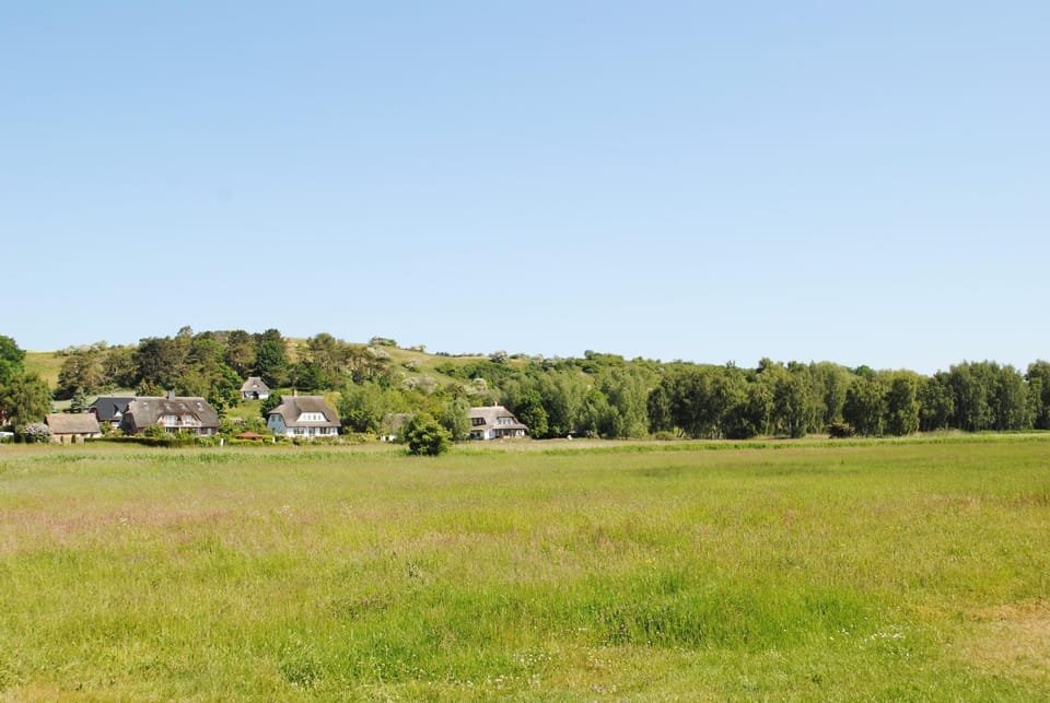 Natural landscape