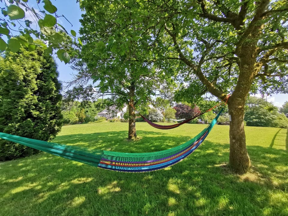 Corporate and Business Events and Away Days - Wellstone Cottages - Sleeps 24 House in Clydau