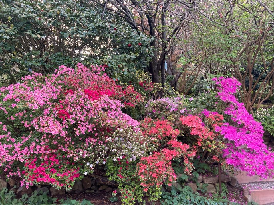 Garden, Garden view