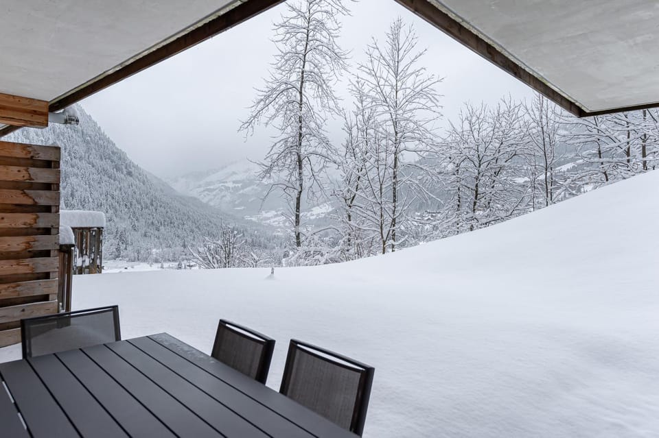 Les Loges Blanches - Apt B103 - BO Immobilier - Châtel Multipass été 2026 en Été en option au tarif de 4euros par jour et par personne Apartment in Châtel