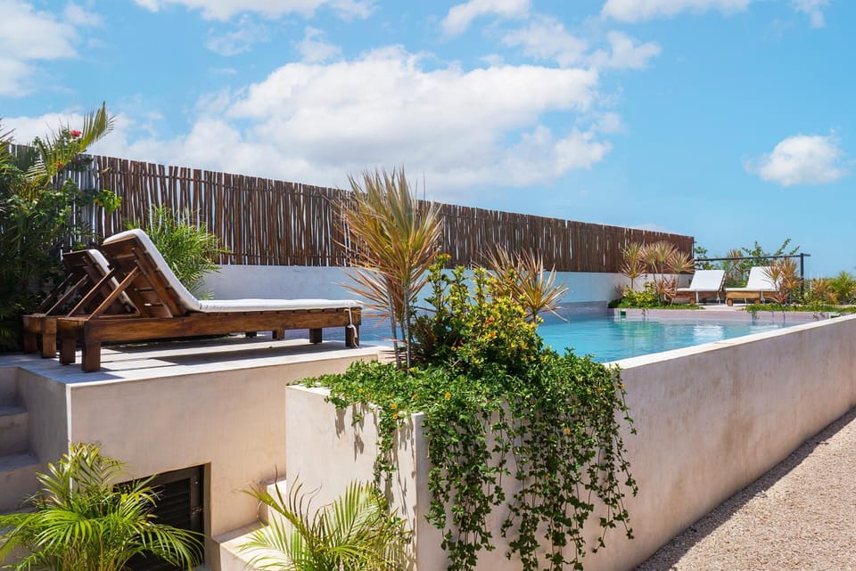 Day, Pool view, Swimming pool, sunbed
