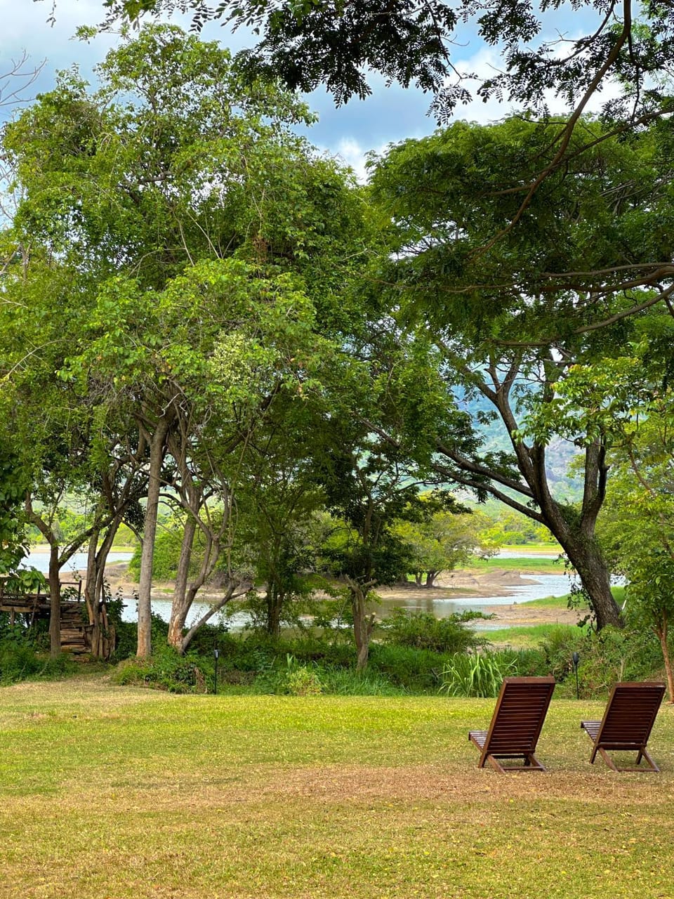 Lake view