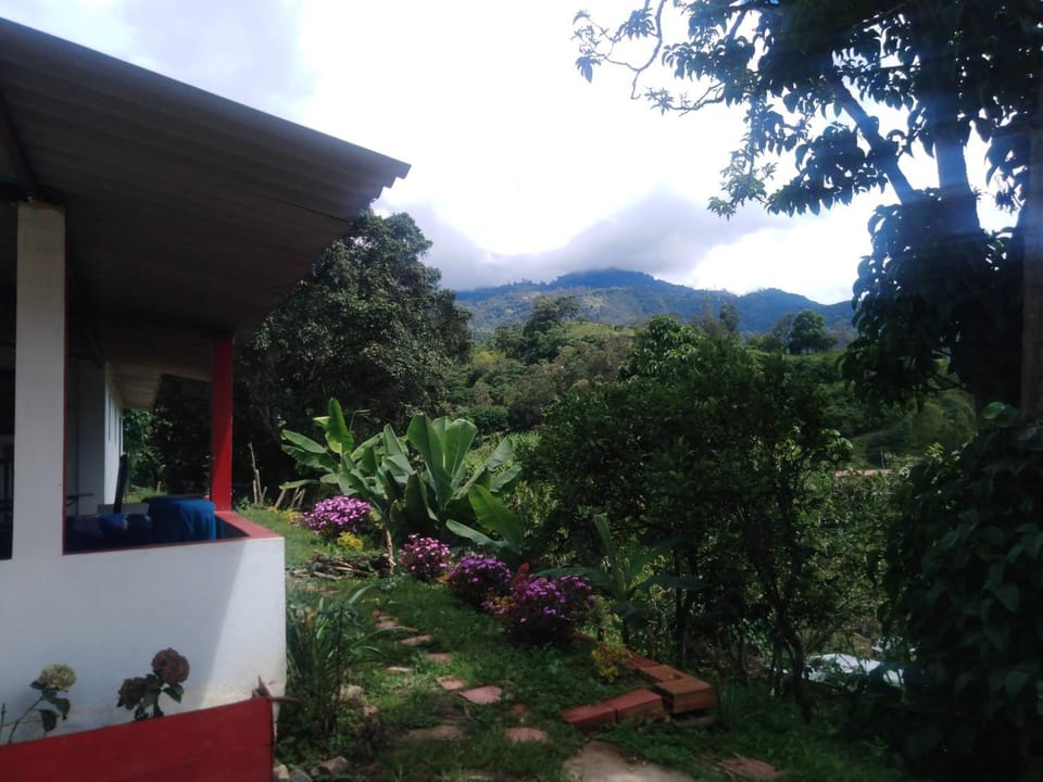 Property building, View (from property/room)