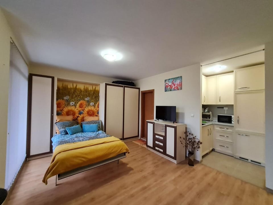 Bed, TV and multimedia, Kitchen or kitchenette, Bedroom, minibar, stove
