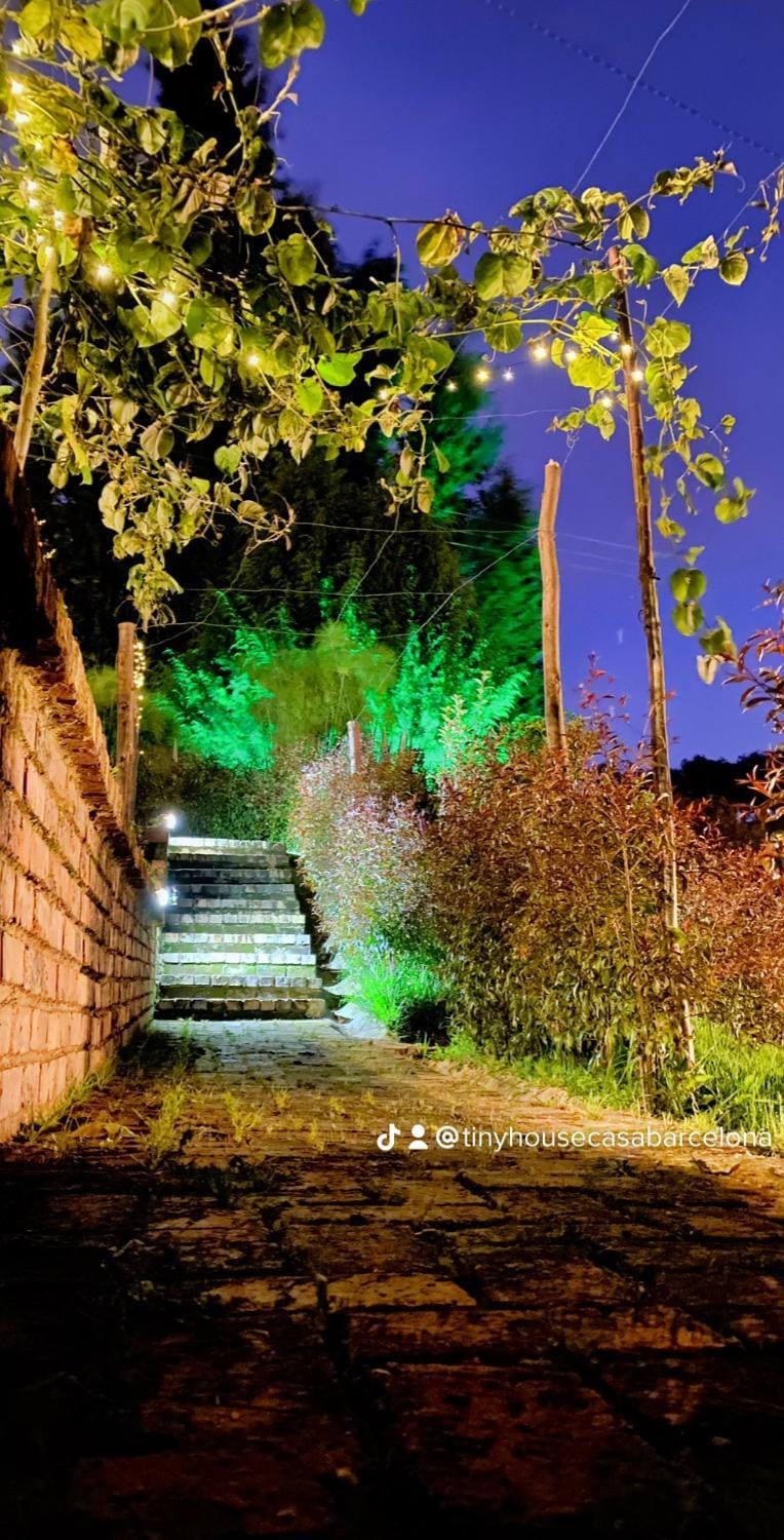 Night, Natural landscape, Garden, Garden view