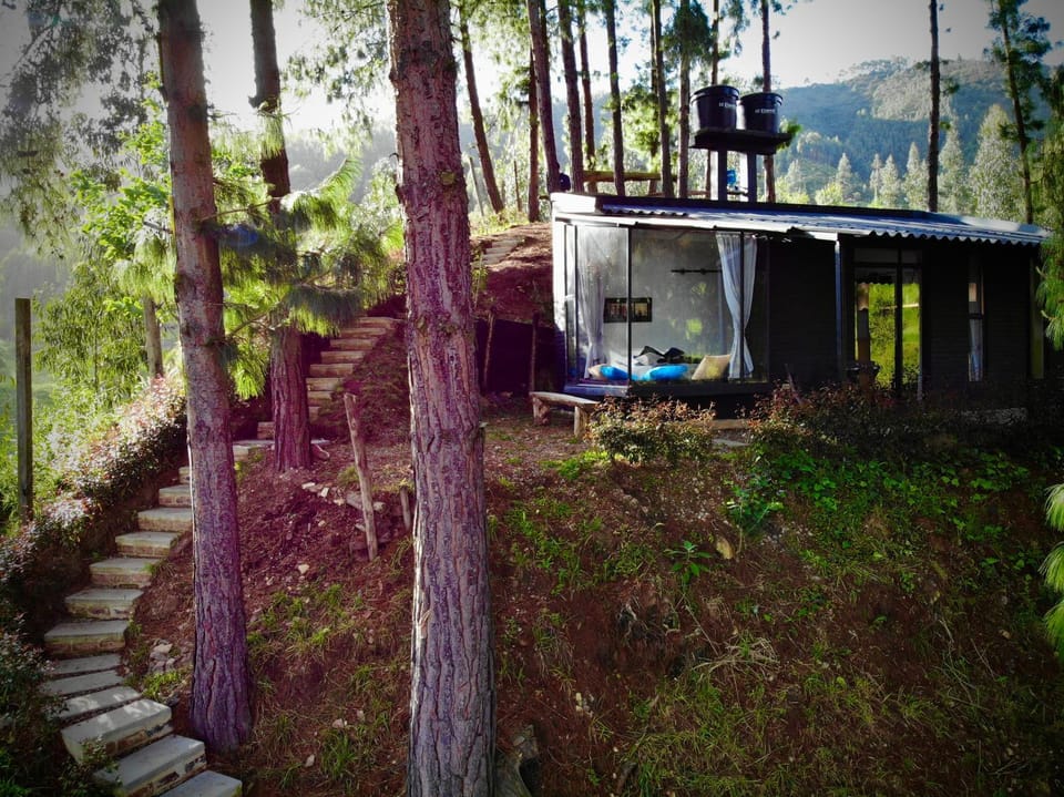 Natural landscape, Garden, Garden view, Mountain view
