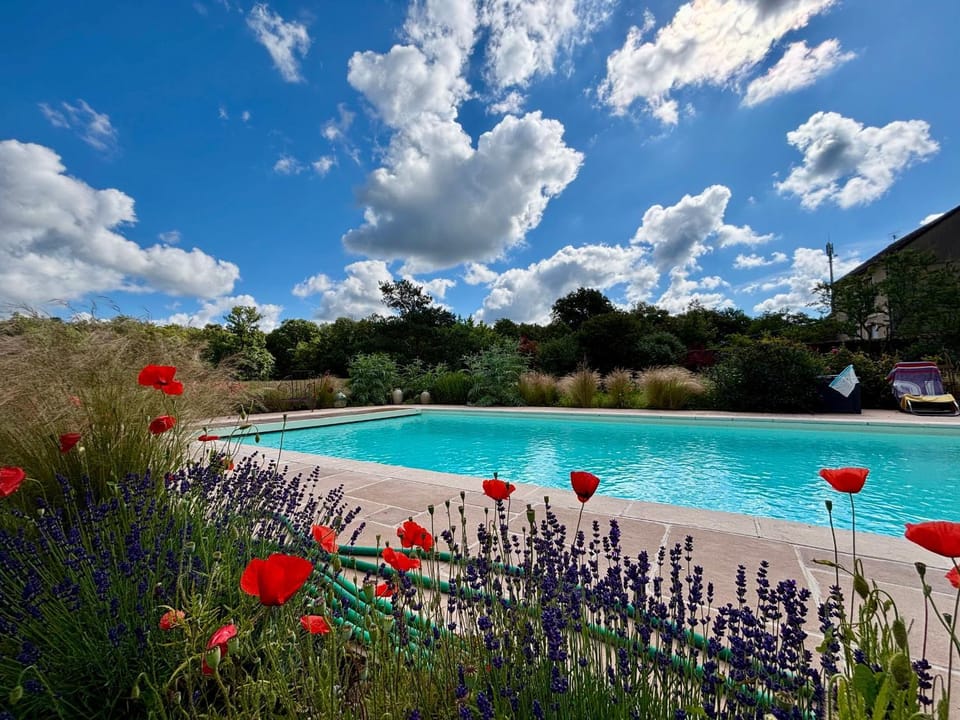 Gîtes avec piscine partagée dans la Brenne, proche sites historiques - FR-1-591-120 House in Centre-Val de Loire