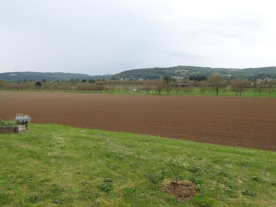 Maison avec Cheminée, Terrasse et Wifi proche de Domme - FR-1-616-43 House in Occitanie