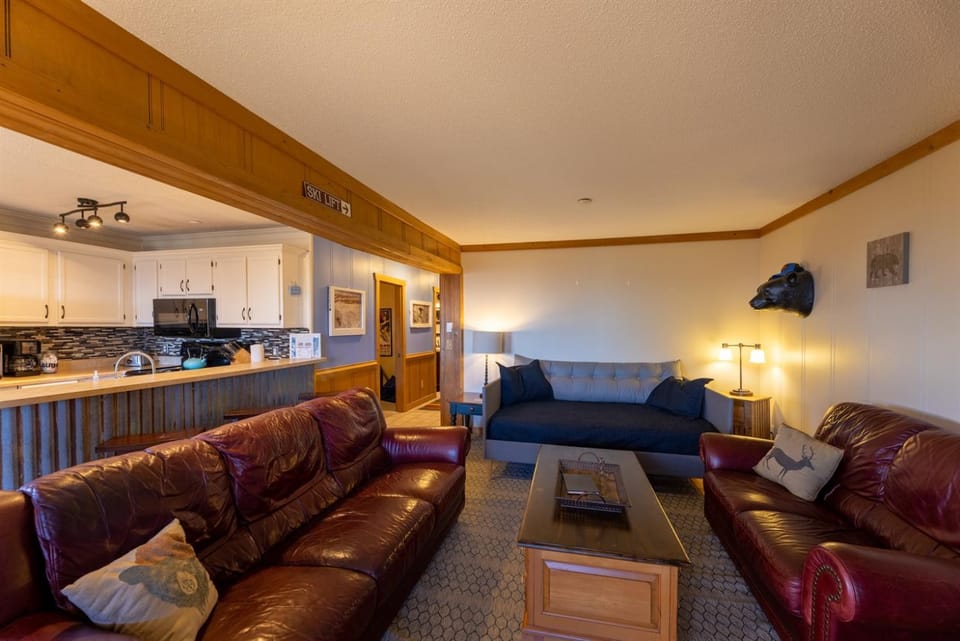 Summit 108B 3BR,Sunset views, FreeParking Apartment in Snowshoe
