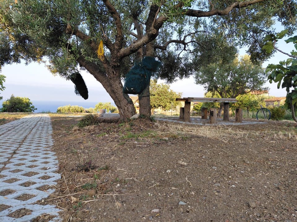 Il Borgo di Nonno Carlo Farm Stay in Campania