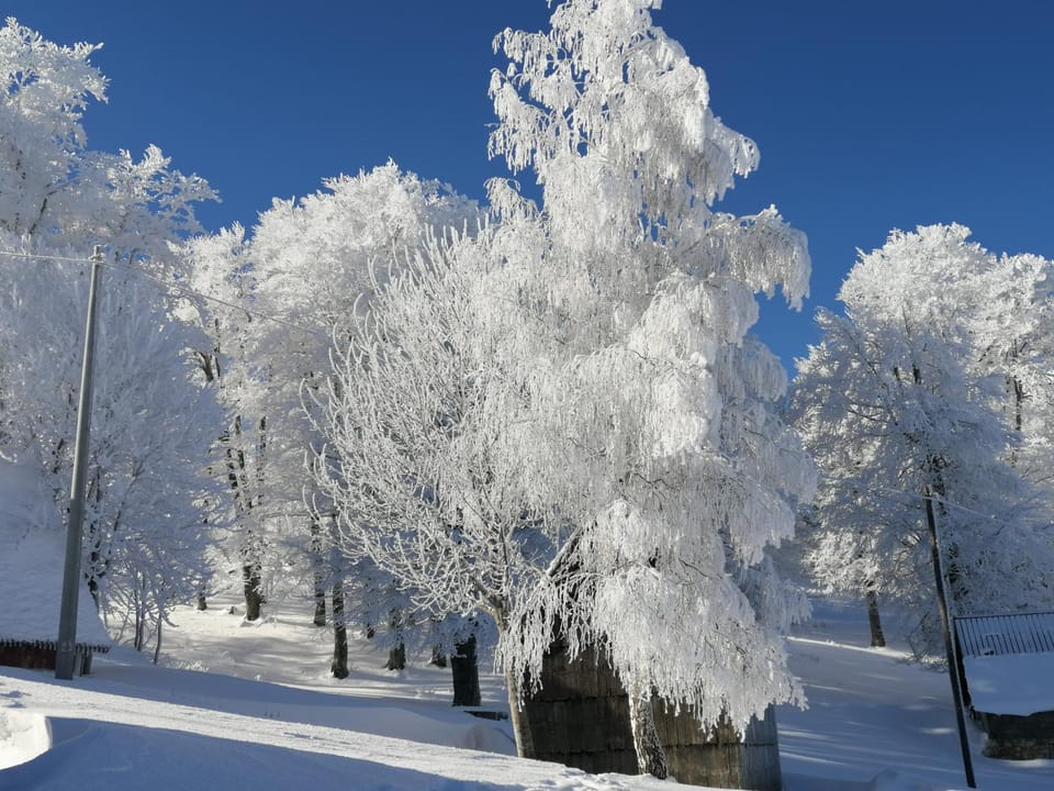 Mountain village Apartment in Montenegro