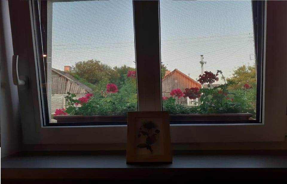 View (from property/room), City view, Street view