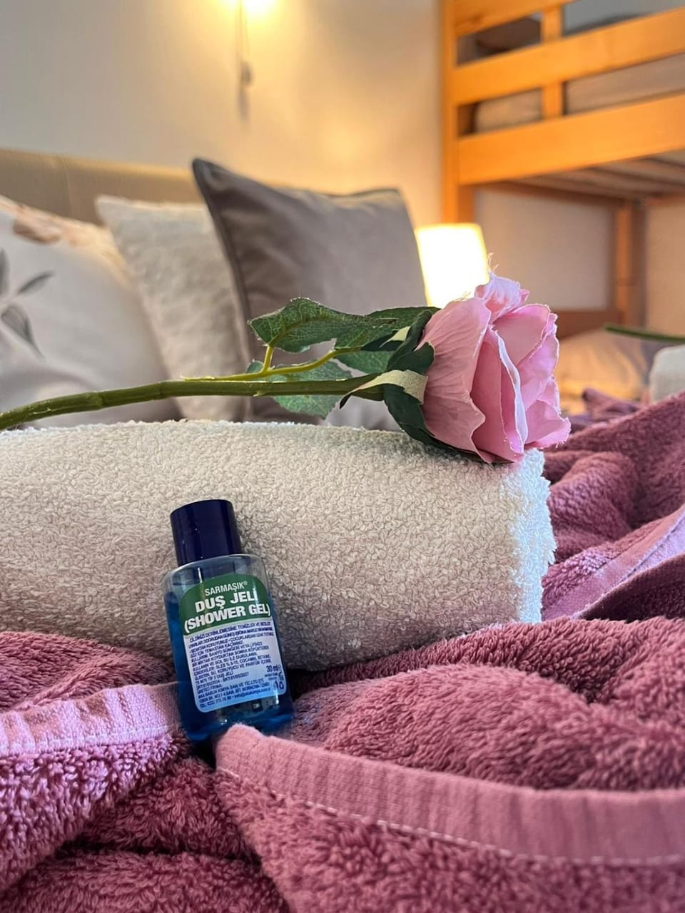 Dionis Apartment in Vojvodina