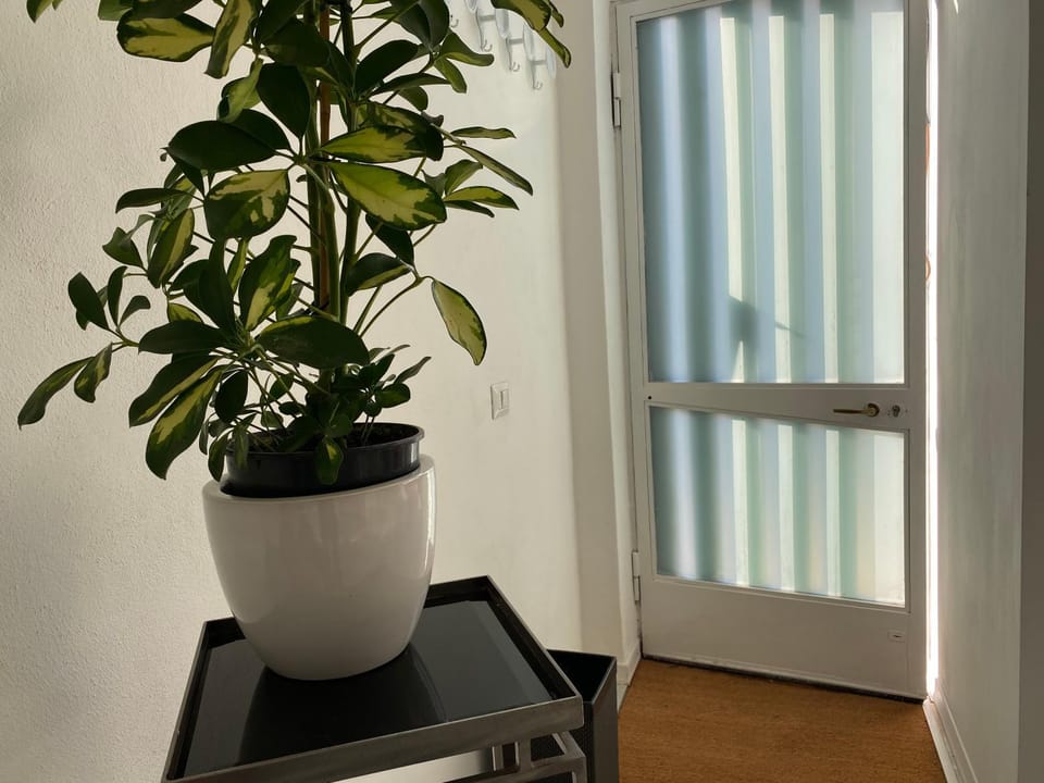 Scalabrini LOFT House in Como