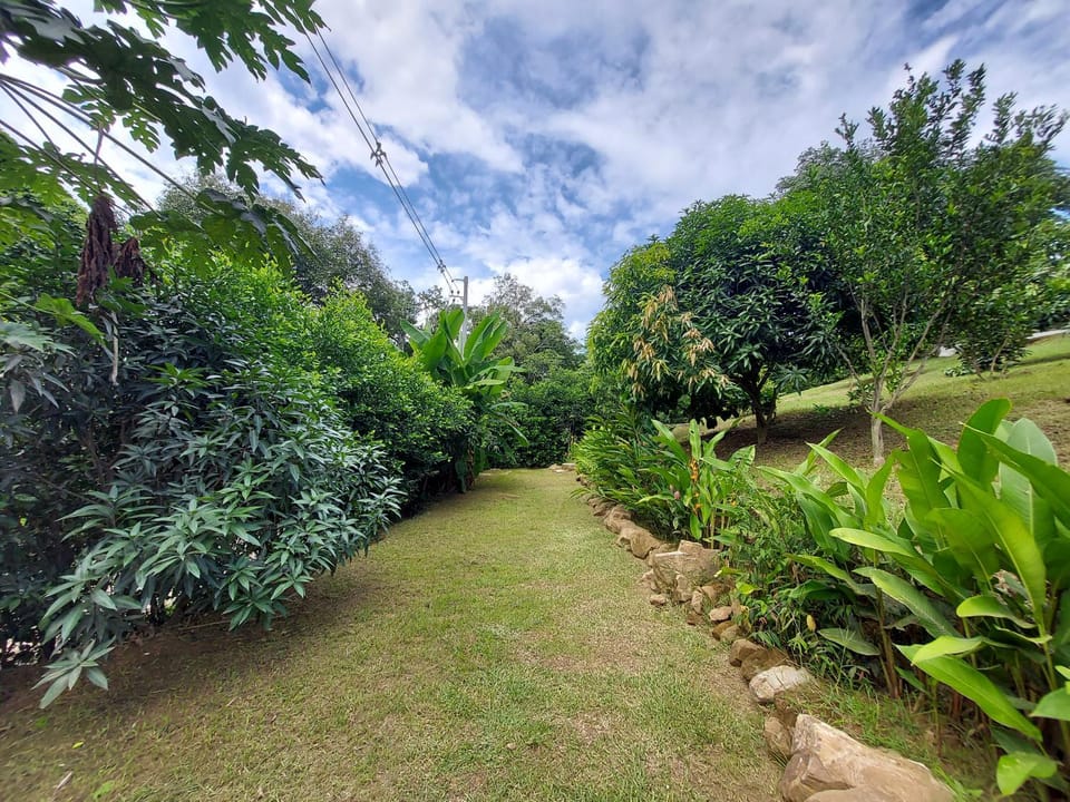 Natural landscape, Garden view