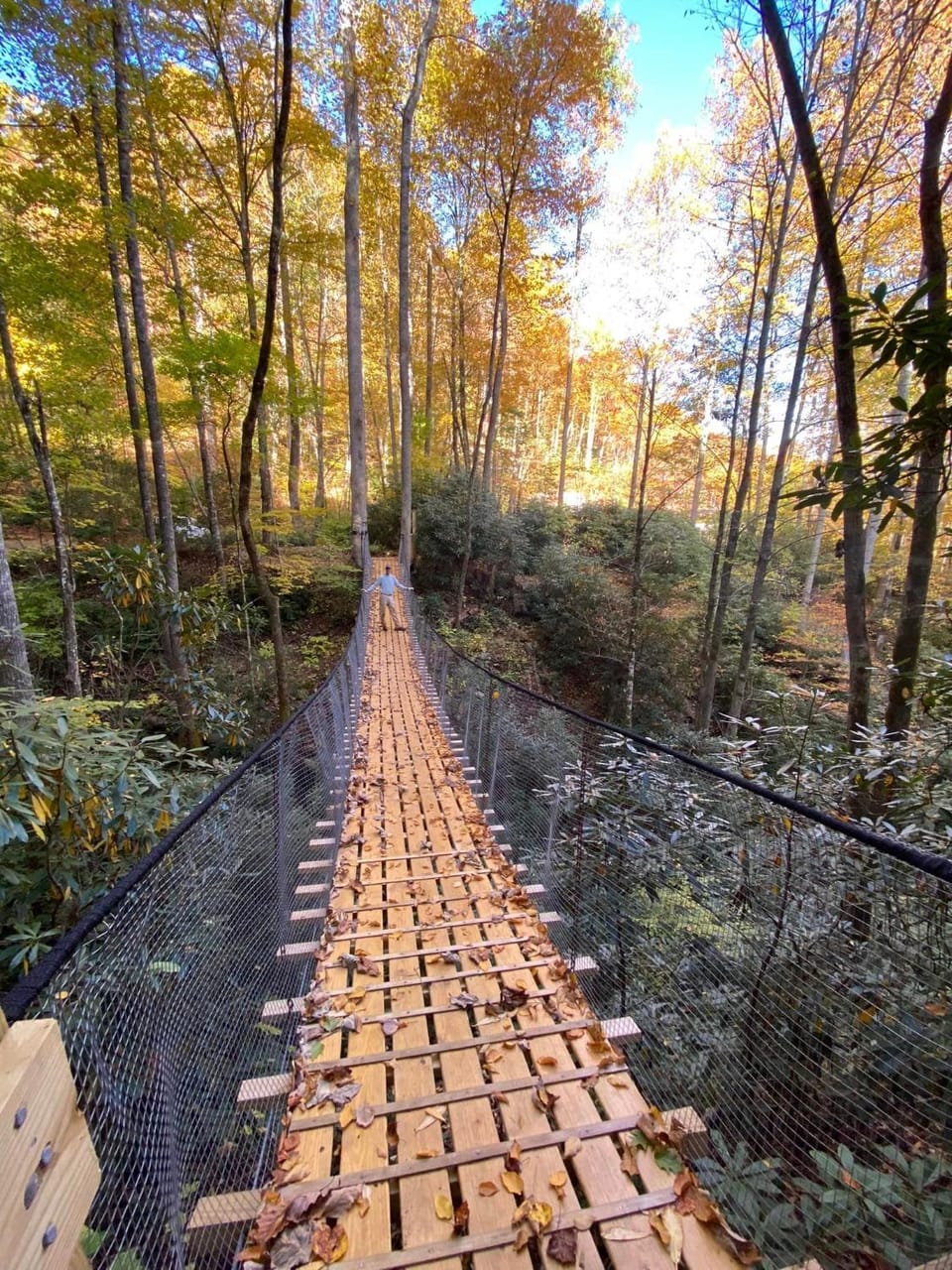 Spring, Day, Natural landscape, Entertainment