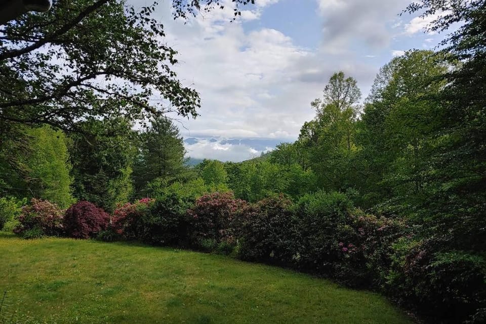 Natural landscape, Garden, View (from property/room), Hiking, Mountain view