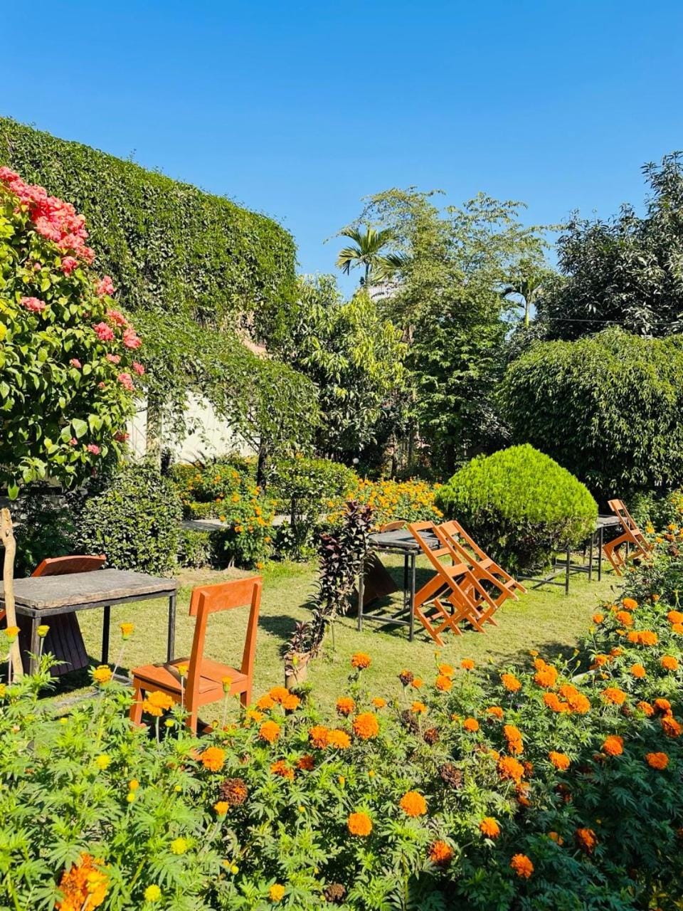 Spring, Day, Natural landscape, Garden, Garden view