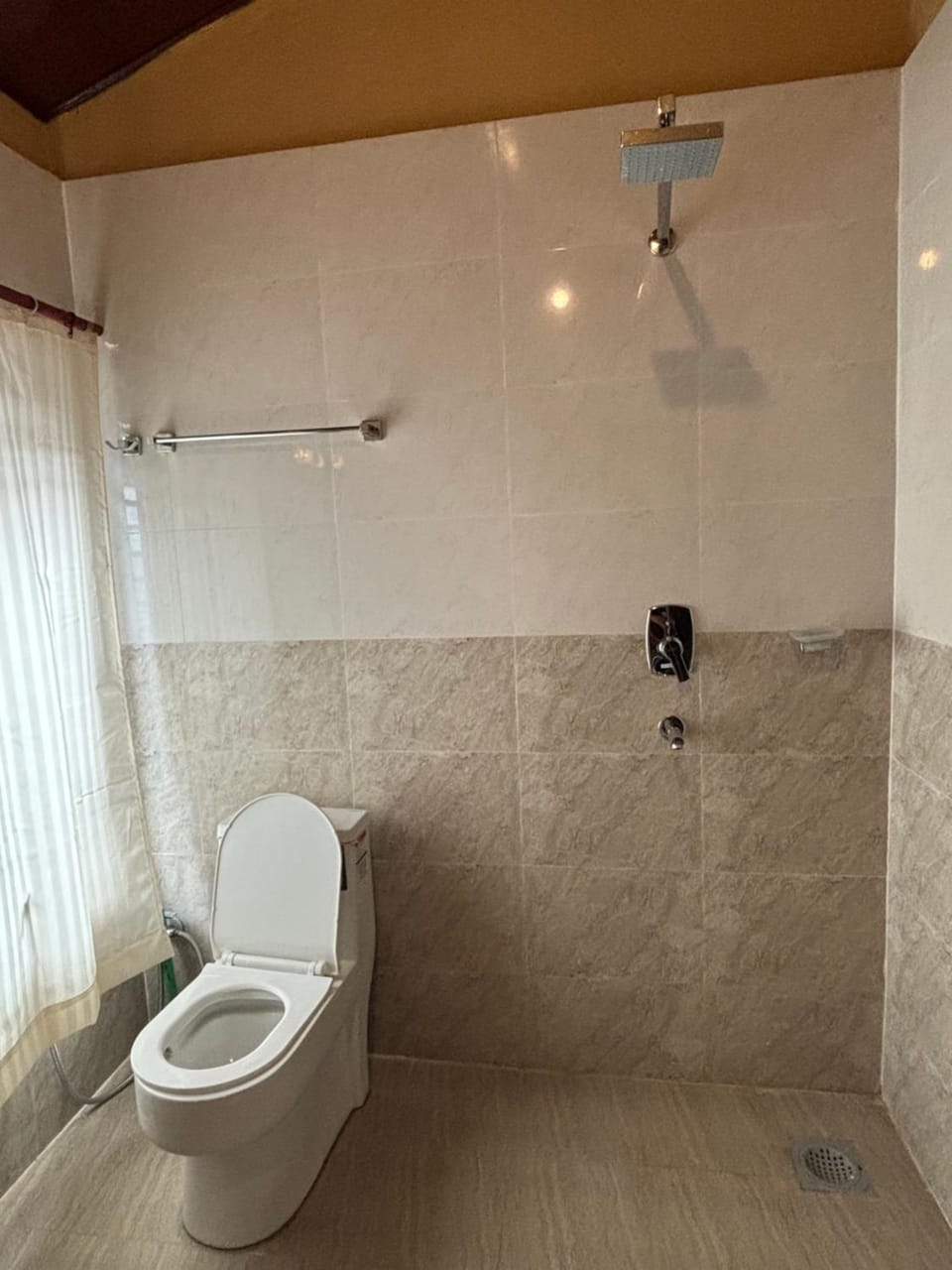 Shower, Toilet, Bathroom, bidet