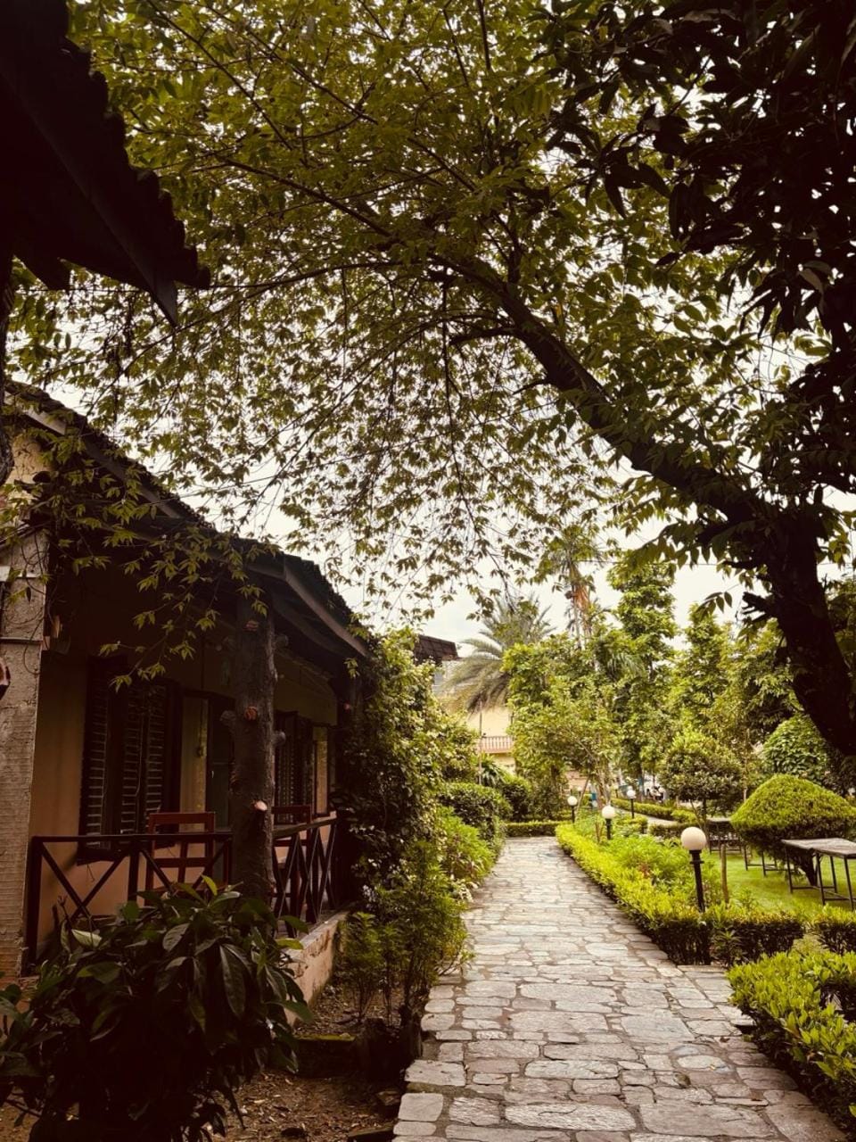 Property building, Spring, Day, Natural landscape, Garden, Garden view