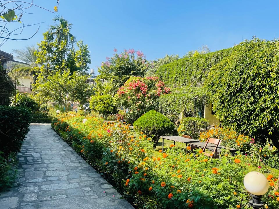 Spring, Day, Natural landscape, Garden, Garden view