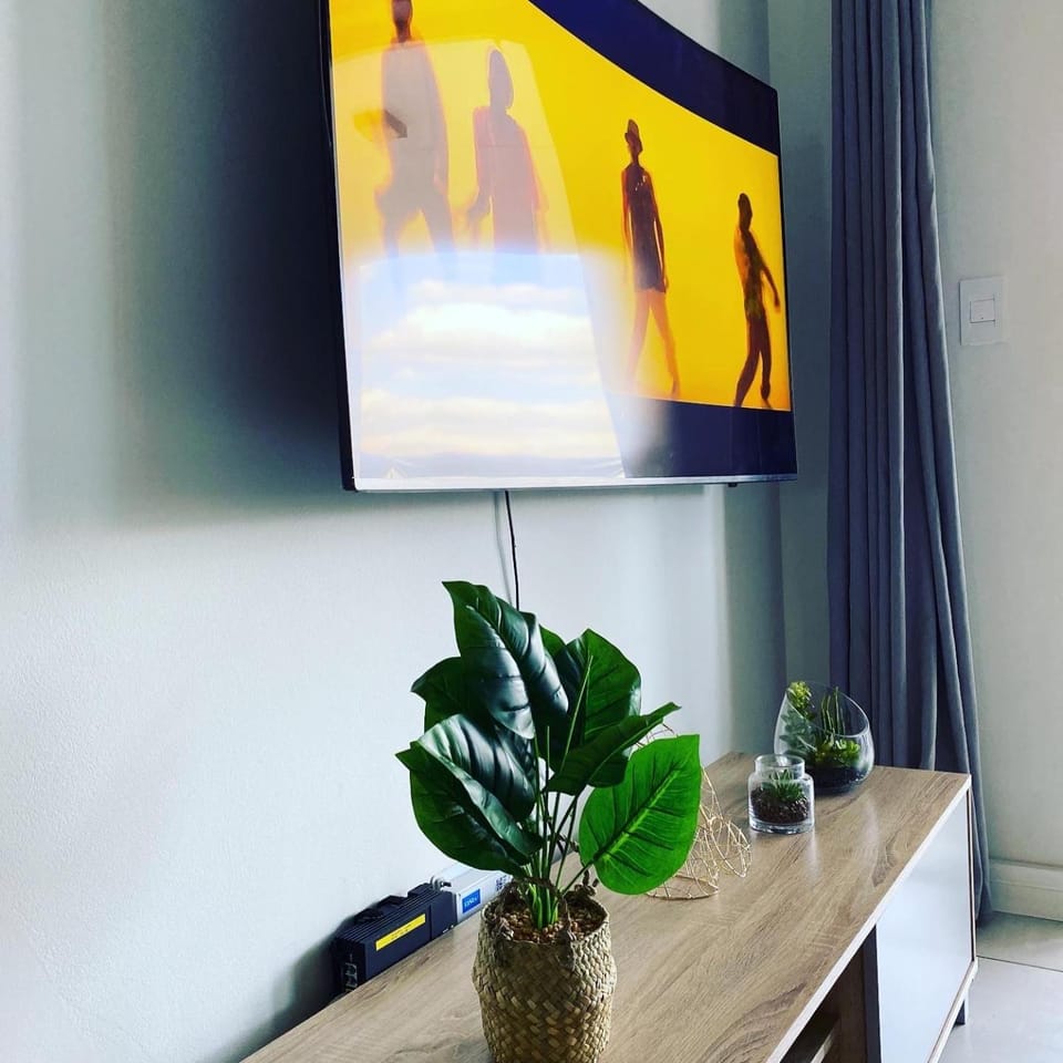 TV and multimedia