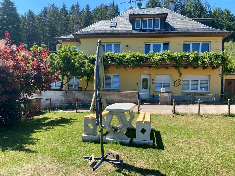 Property building, Garden