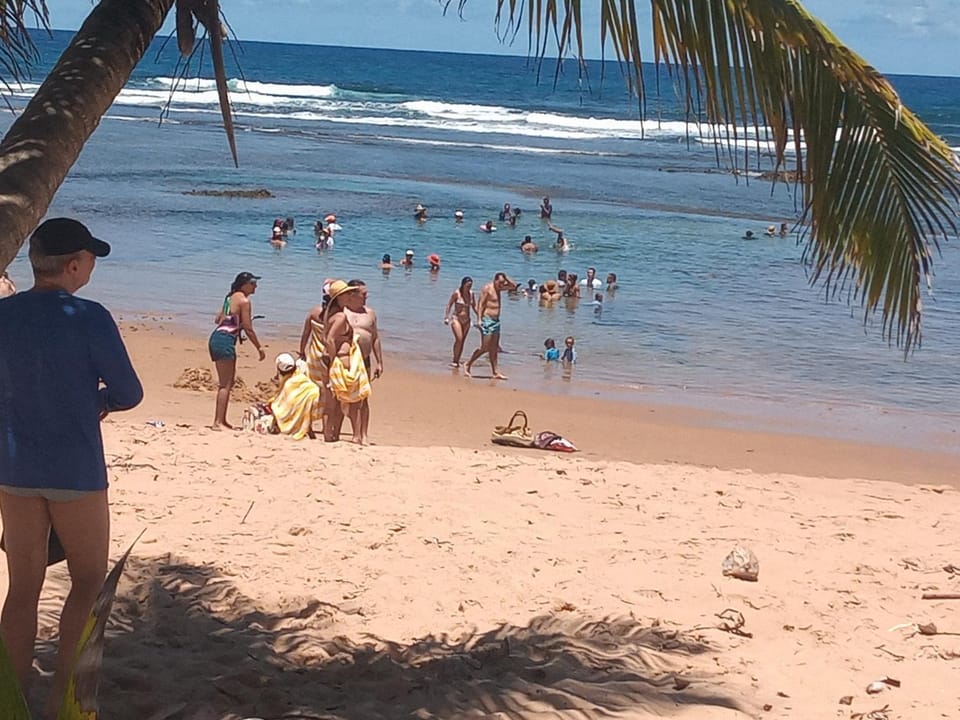 Day, People, Natural landscape, Beach, Guests, children, Family