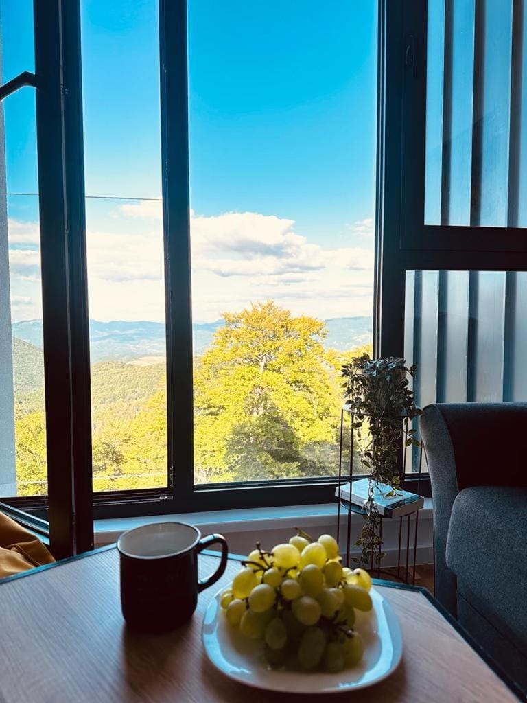 Natural landscape, Seating area, Mountain view