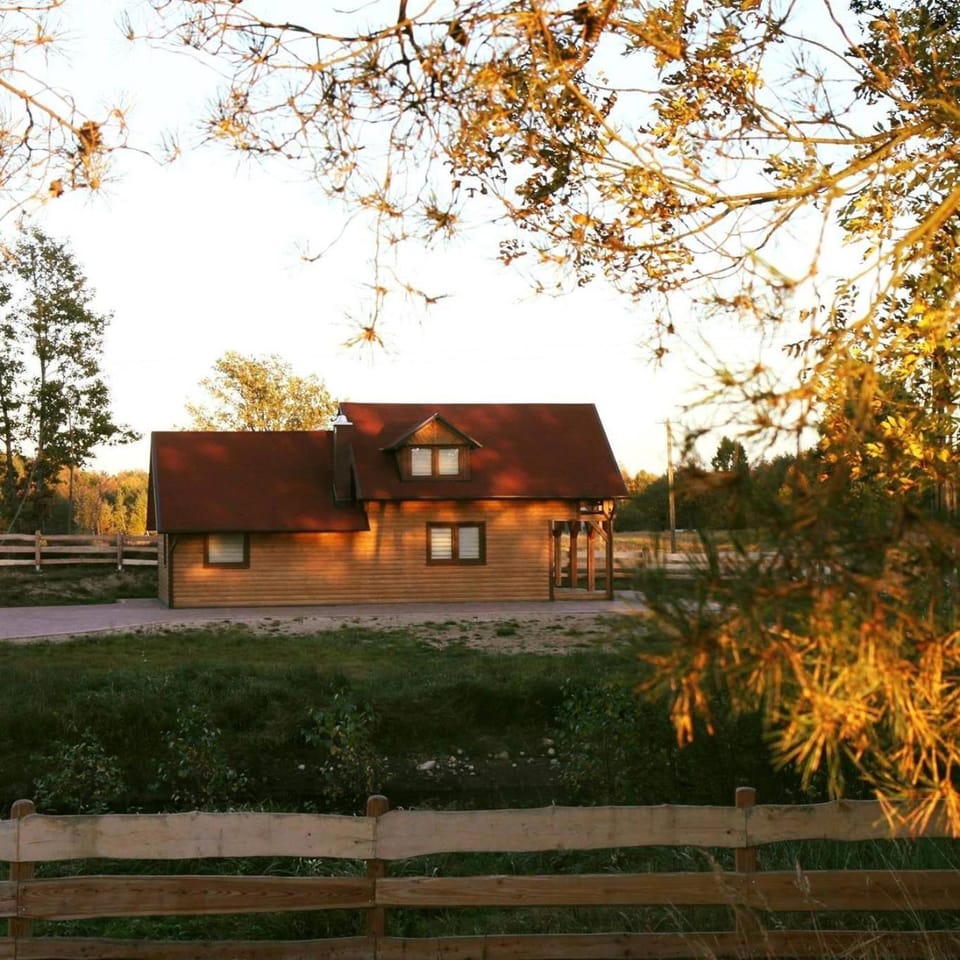 Property building, Garden, Garden view
