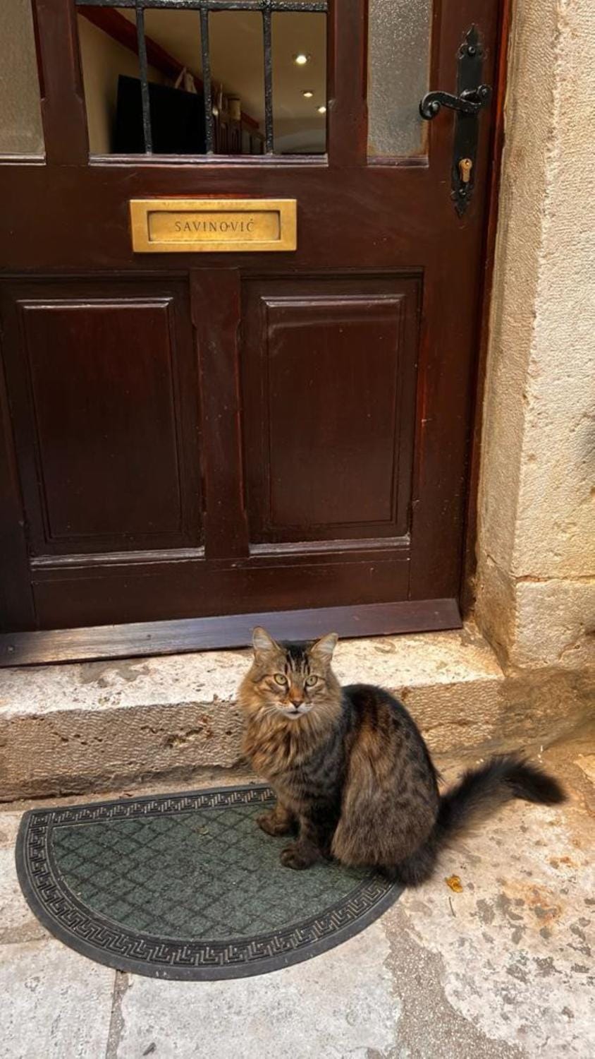 Crocant house Apartment in Dubrovnik