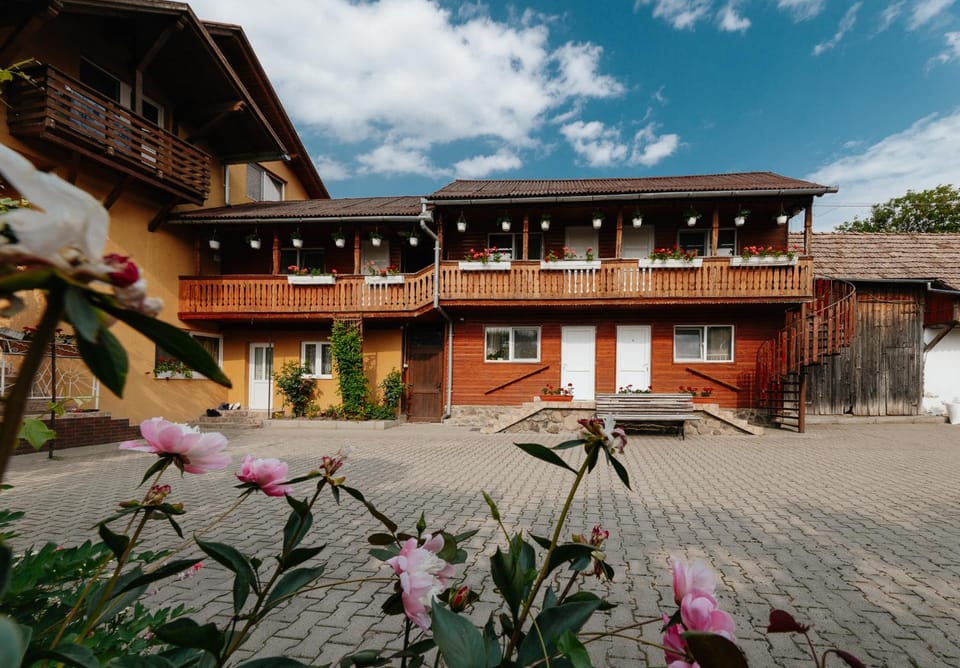 Property building, Day, Garden view