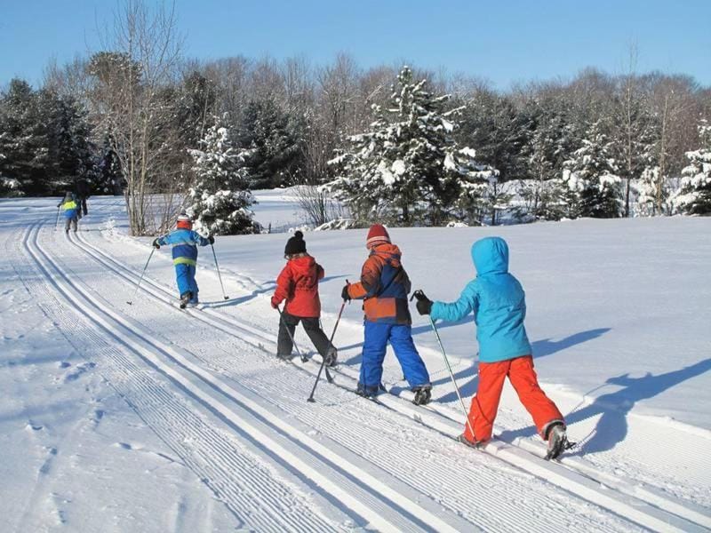 Chalet Alpine Inn in Quebec